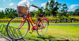自転車のカゴの捨て方と切断処理