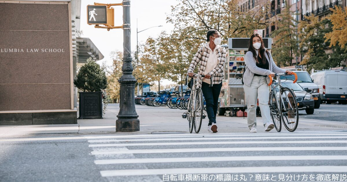 自転車横断帯の標識は丸？意味と見分け方を徹底解説